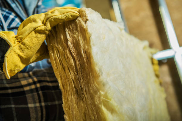 Best Insulation Installation Services in Exandria, AL