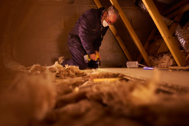 Best Commercial Insulation in Exandria, AL